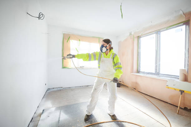 Best Emergency Mold Remediation  in Ellis, KS