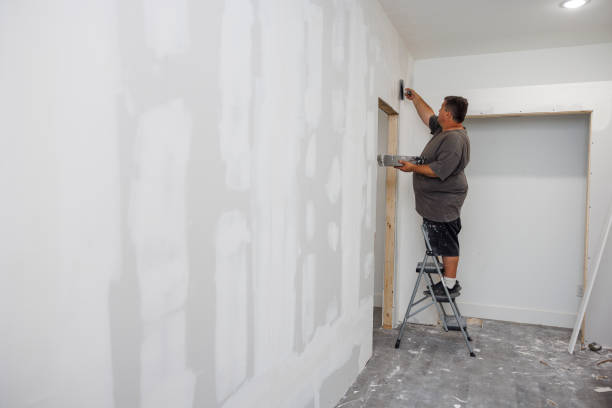 Best Commercial Mold Inspection  in Ellis, KS